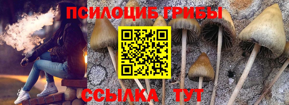 Псилоцибиновые грибы Cubensis  Вход с VPN  цена наркотик  Кызыл 