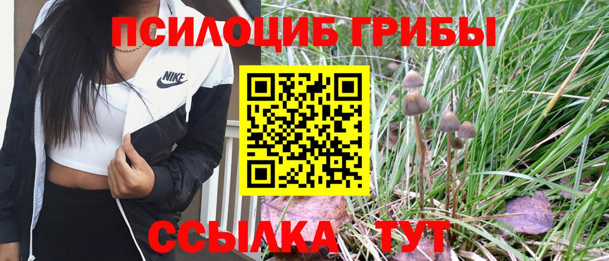 Галлюциногенные грибы Psilocybine cubensis Кызыл